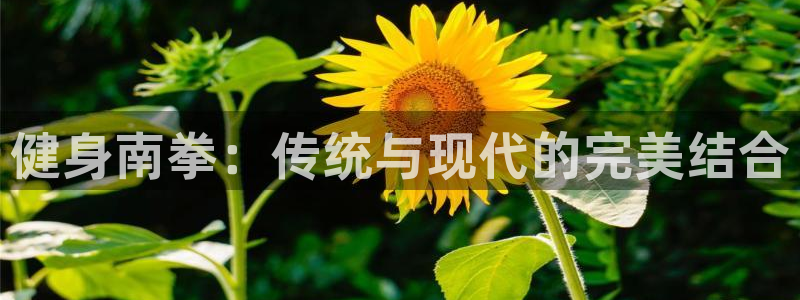 意昂2招商