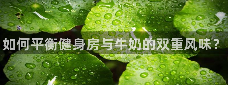 意昂2代理