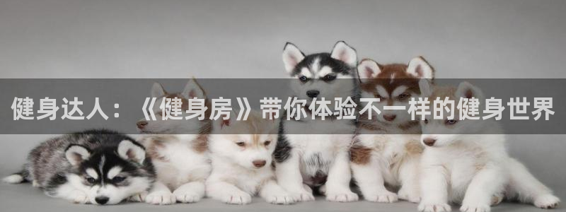 意昂2代理